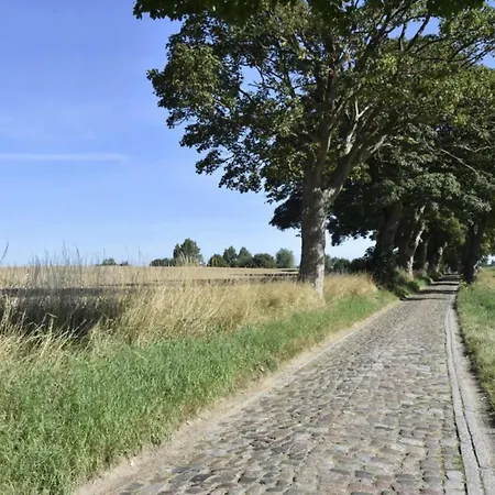 Mit Garten In Kluetz 公寓