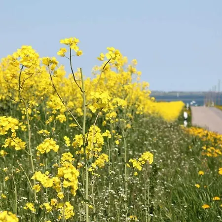Mit Garten In Kluetz